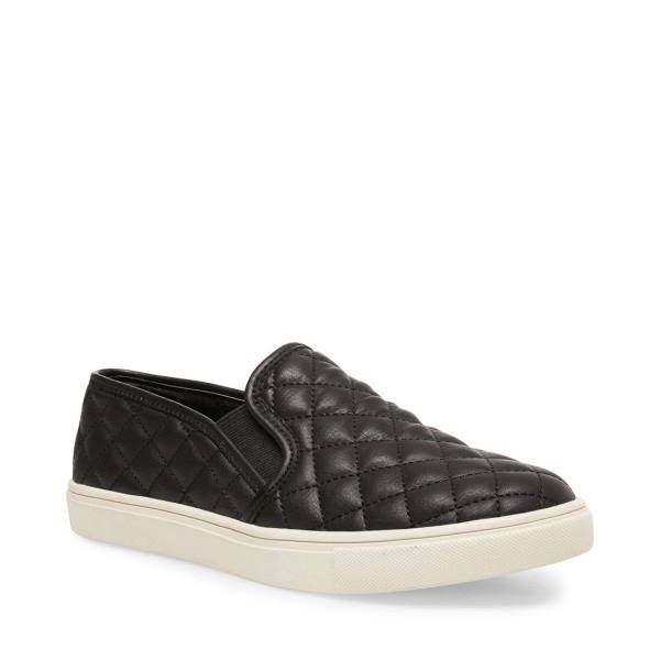 Steve Madden Ecentrcq Women's Sneakers Black | SM-387WF