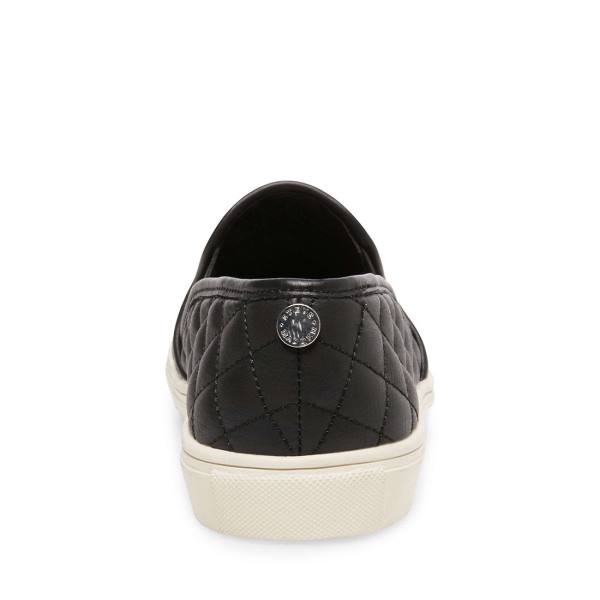 Steve Madden Ecentrcq Women's Sneakers Black | SM-387WF