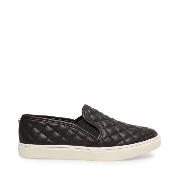 Steve Madden Ecentrcq Women\'s Sneakers Black | SM-387WF