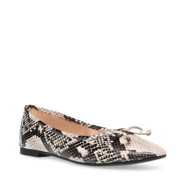 Steve Madden Eldora Snake Women's Flat Shoes Snake | SM-396XG