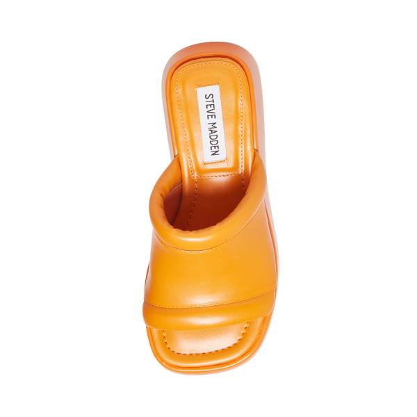 Steve Madden Energy Women's Sandals Orange | SM-250BJ