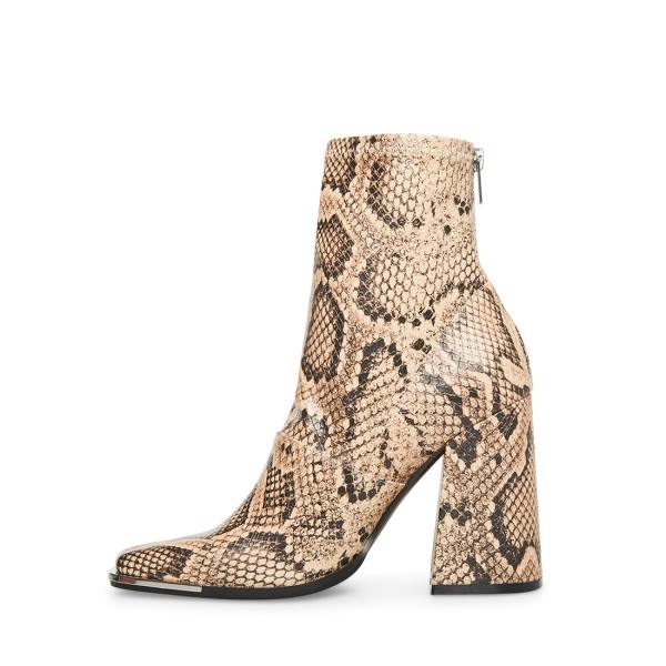 Steve Madden Excess Natural Snake Women's Booties Beige Snake | SM-189CL