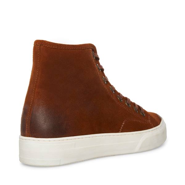 Steve Madden Forte Cognac Suede Men's Sneakers Brown | SM-961JN