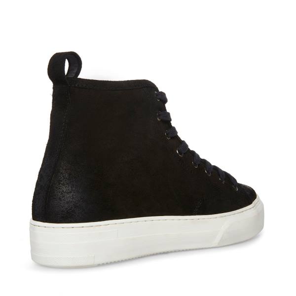 Steve Madden Forte Suede Men's Sneakers Black | SM-374WB