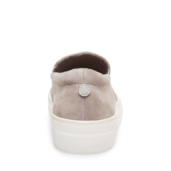 Steve Madden Gills Suede Women's Sneakers Grey | SM-901FZ