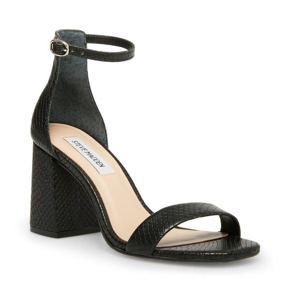 Steve Madden Gracelynn Snake Women's Heels Black Snake | SM-462UR