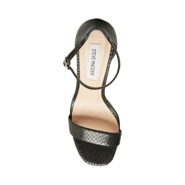 Steve Madden Gracelynn Snake Women's Heels Black Snake | SM-462UR