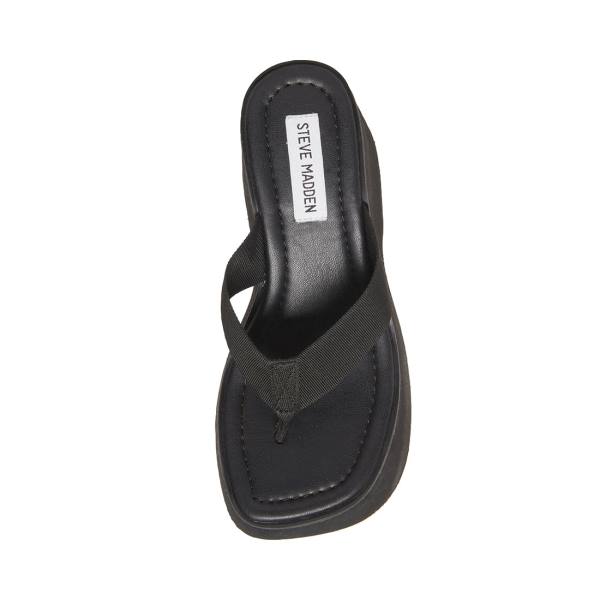 Steve Madden Gwen Women's Sandals Black | SM-264HZ