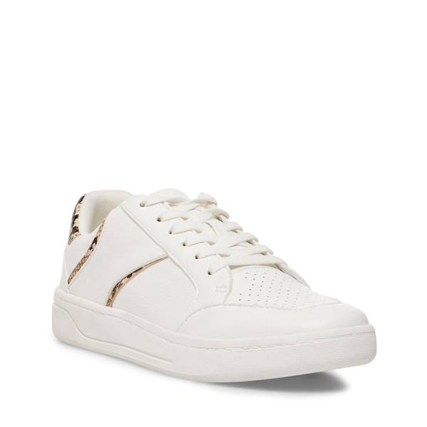 Steve Madden Harmonize Tan Snake Women's Sneakers Brown Snake | SM-465VG