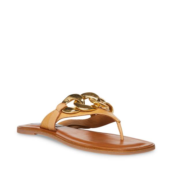 Steve Madden Hazel Tan Women's Sandals Brown | SM-784IY