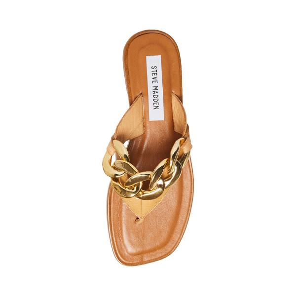 Steve Madden Hazel Tan Women's Sandals Brown | SM-784IY