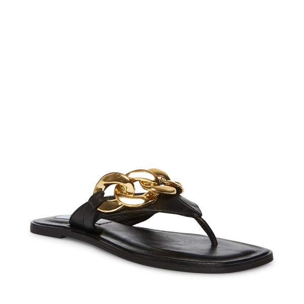 Steve Madden Hazel Women's Sandals Black | SM-264LE