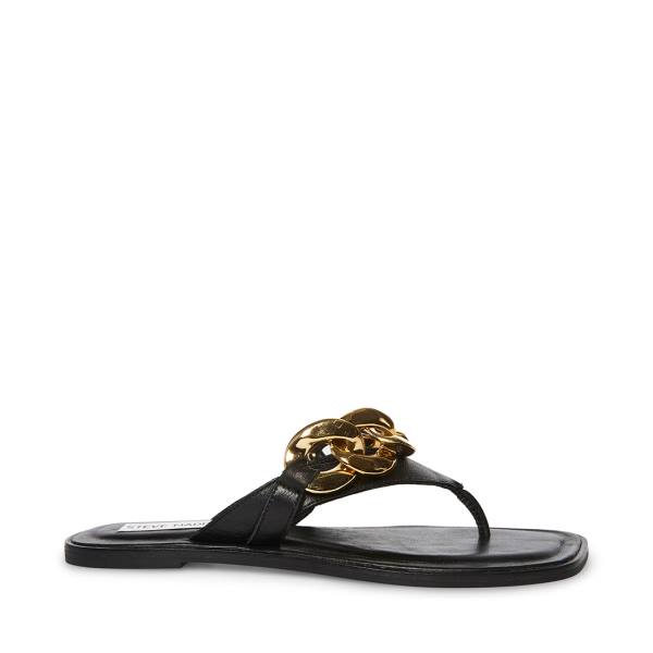 Steve Madden Hazel Women\'s Sandals Black | SM-264LE