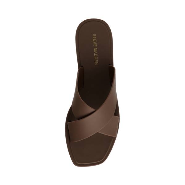 Steve Madden Horizon Women's Sandals Brown | SM-570SK