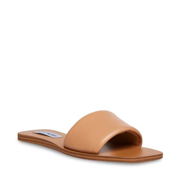 Steve Madden Isabel Tan Women's Sandals Brown | SM-839VR