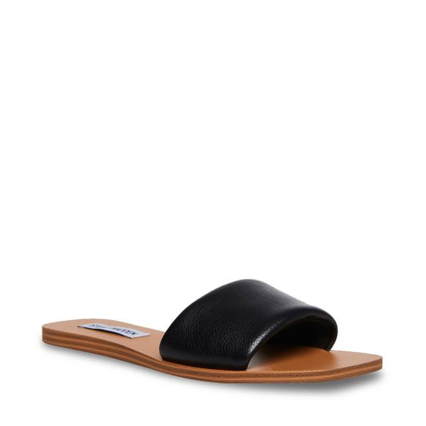 Steve Madden Isabel Women's Sandals Black | SM-356ED