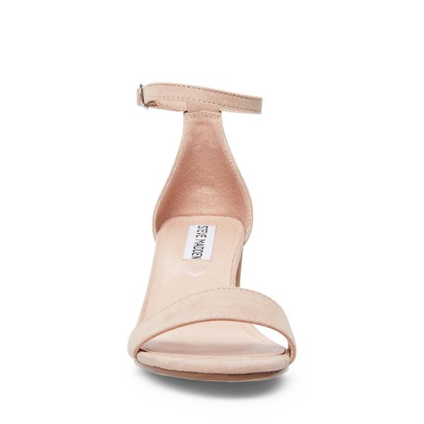 Steve Madden Jcarrson Blush Kids' Heels Pink | SM-382AM