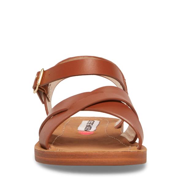 Steve Madden Jleague Cognac Kids' Sandals Brown | SM-341XI