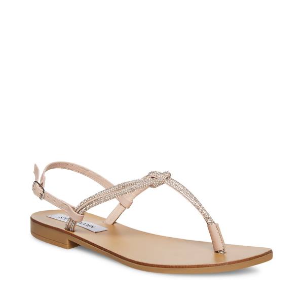 Steve Madden Judy Women's Sandals Diamond | SM-329UC