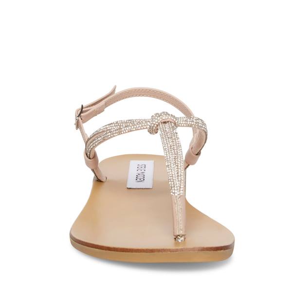 Steve Madden Judy Women's Sandals Diamond | SM-329UC