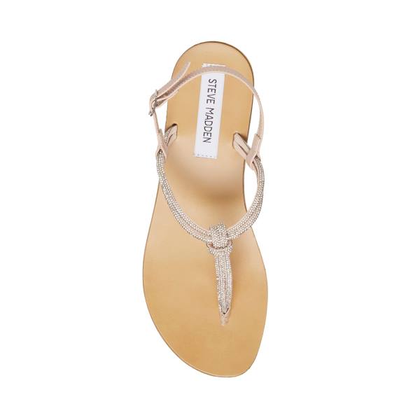 Steve Madden Judy Women's Sandals Diamond | SM-329UC