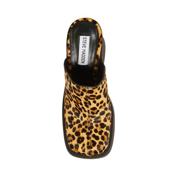 Steve Madden Kam Leopard Women's Heels Leopard | SM-250TE