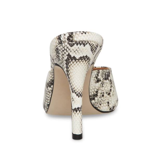 Steve Madden Karina Snake Women's Heels Snake | SM-361YA