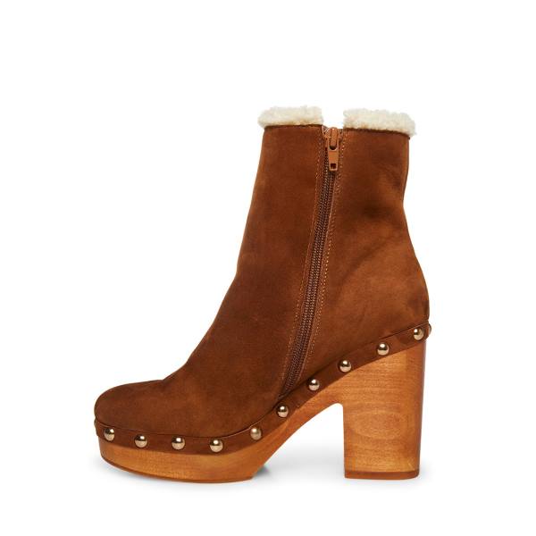 Steve Madden Kent Chestnut Suede Women's Booties Brown | SM-870XL