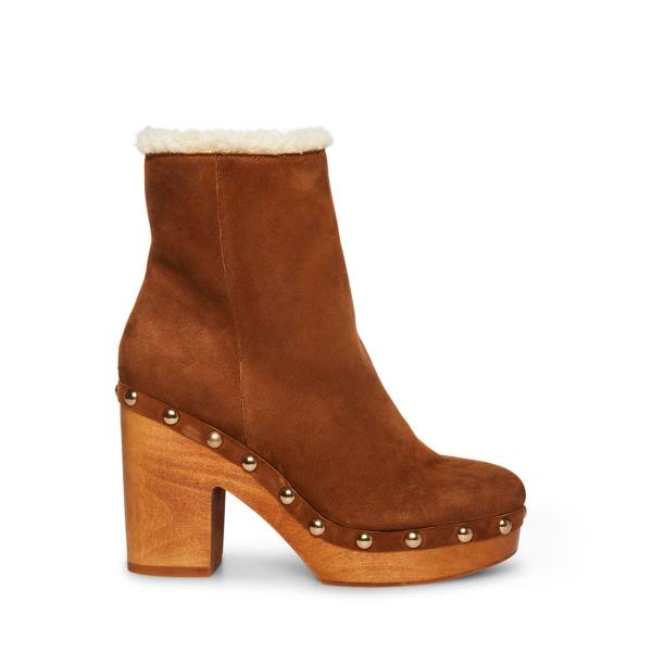 Steve Madden Kent Chestnut Suede Women\'s Booties Brown | SM-870XL