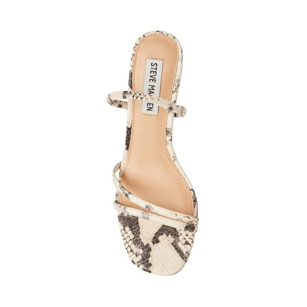 Steve Madden Loft Snake Women's Heels Beige Snake | SM-259LU