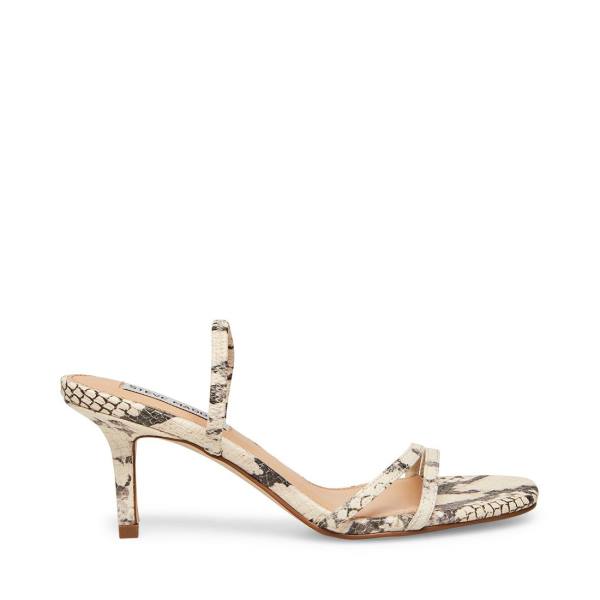 Steve Madden Loft Snake Women\'s Heels Beige Snake | SM-259LU