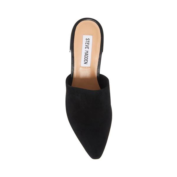 Steve Madden Lyra Suede Women's Flat Shoes Black | SM-948NP