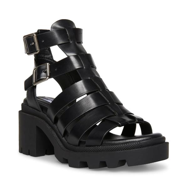 Steve Madden Maxen Women's Sandals Black | SM-275XI