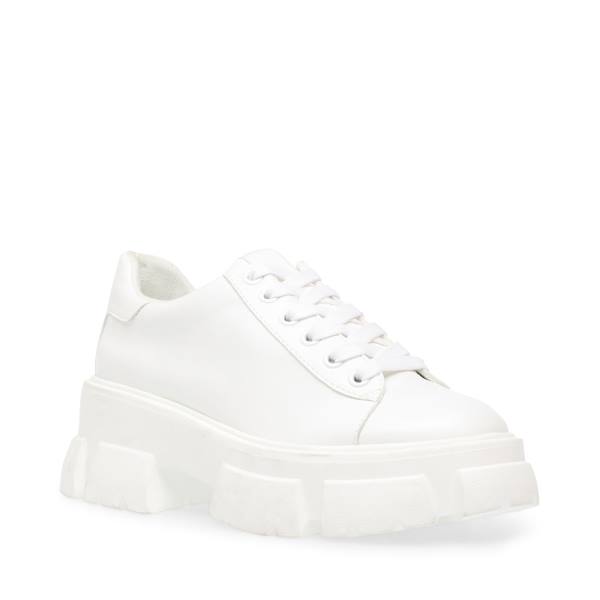 Steve Madden Michigan Women's Sneakers White | SM-824IK