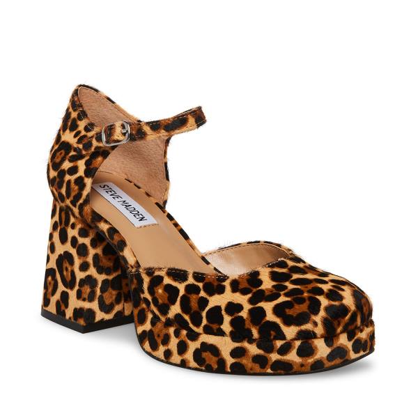 Steve Madden Mimi-l Leopard Women's Heels Leopard | SM-549KV