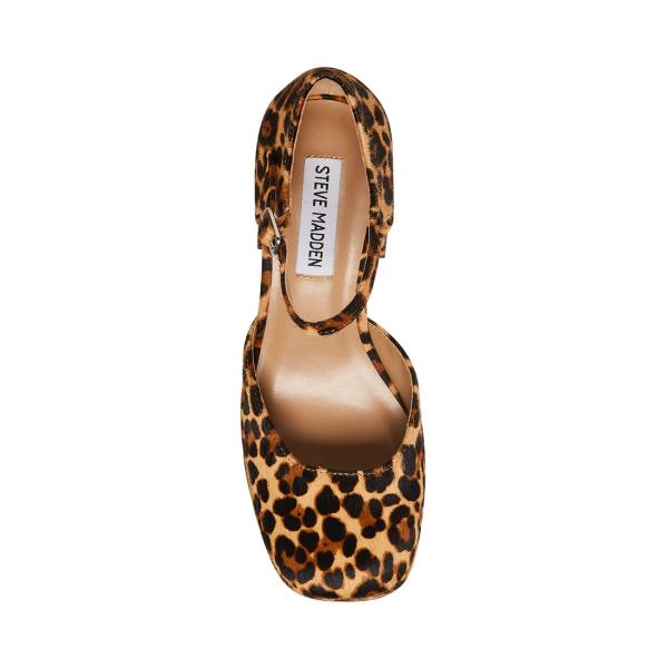 Steve Madden Mimi-l Leopard Women's Heels Leopard | SM-549KV