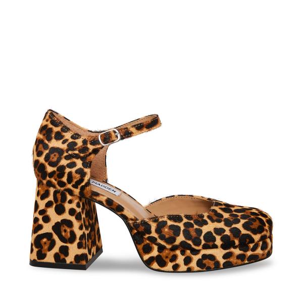 Steve Madden Mimi-l Leopard Women\'s Heels Leopard | SM-549KV