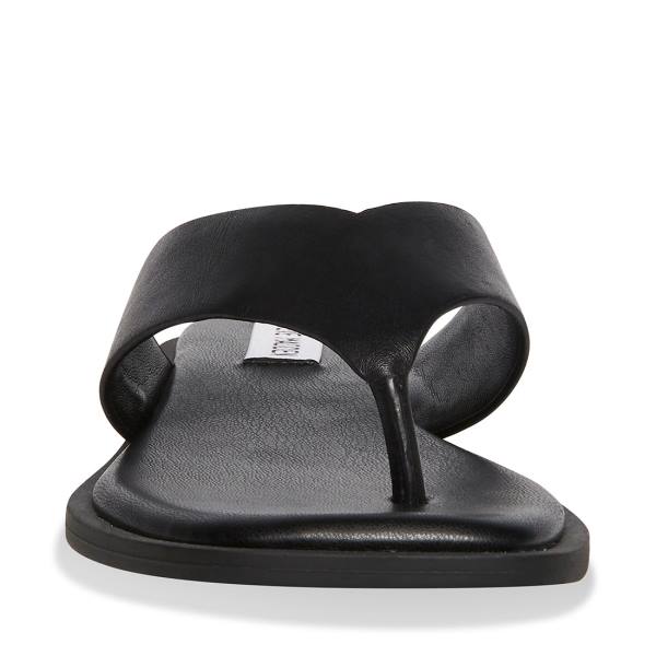 Steve Madden Norie Leather Women's Sandals Black | SM-712YS