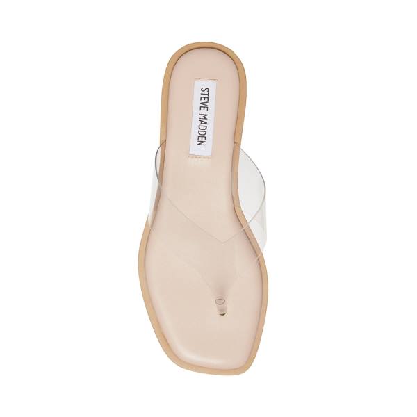 Steve Madden Norie Women's Sandals Clear | SM-184KQ