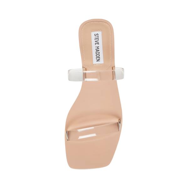 Steve Madden Pedra Women's Sandals Clear | SM-706HA