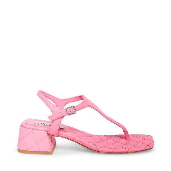 Steve Madden Pepper Women\'s Sandals Pink | SM-836YX