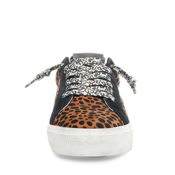 Steve Madden Philosophy Leopard Women's Sneakers Leopard Multicolor | SM-576YS