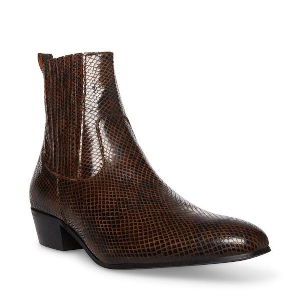 Steve Madden Pierre Snake Men's Boots Brown Snake | SM-518JU