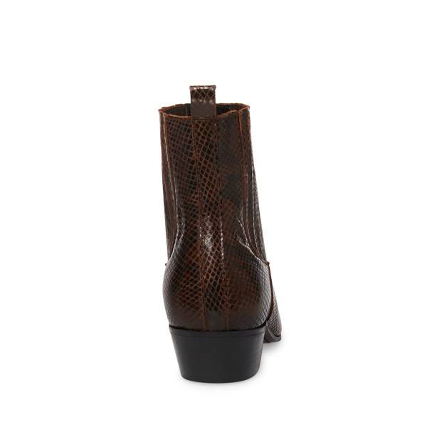 Steve Madden Pierre Snake Men's Boots Brown Snake | SM-518JU