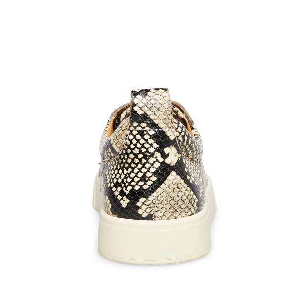 Steve Madden Portall Natural Snake Men's Sneakers Beige Snake | SM-076NU