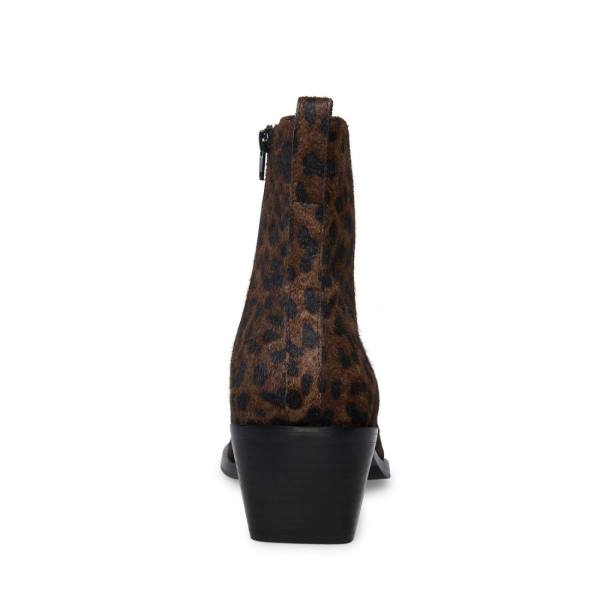 Steve Madden Richie Leopard Men's Boots Leopard | SM-794HO