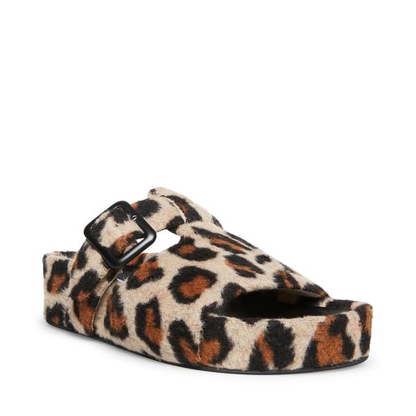 Steve Madden Rizzle Leopard Women's Slippers Leopard | SM-670AT