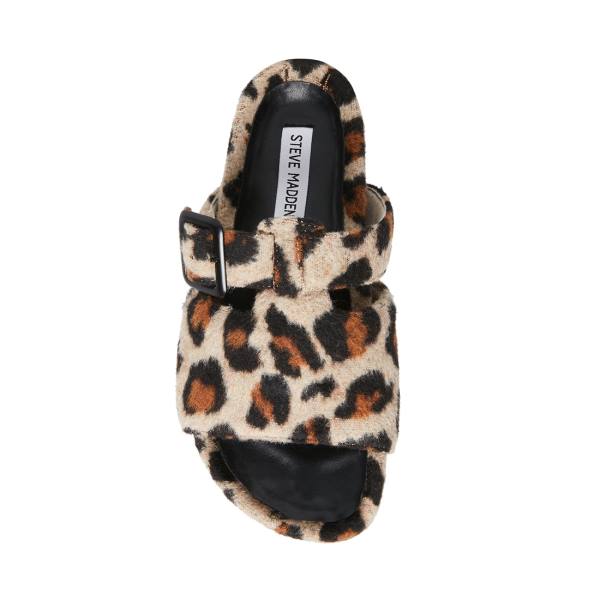 Steve Madden Rizzle Leopard Women's Slippers Leopard | SM-670AT