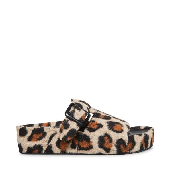 Steve Madden Rizzle Leopard Women\'s Slippers Leopard | SM-670AT