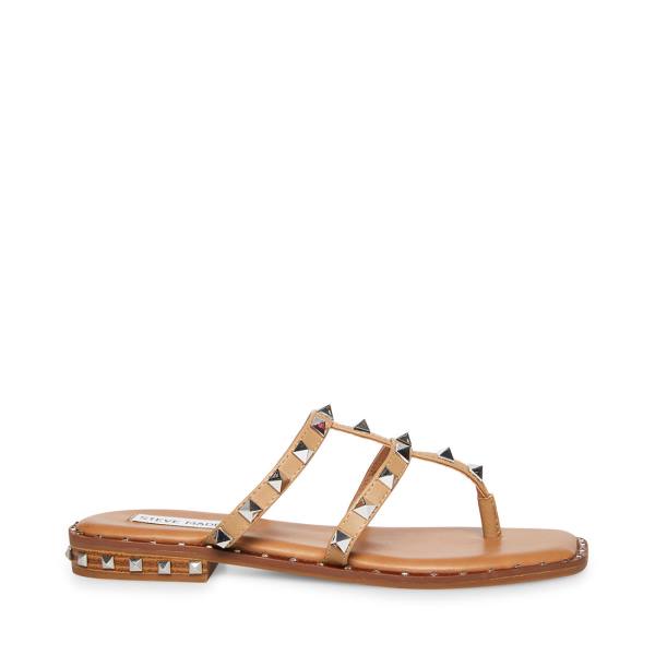 Steve Madden Sandie Tan Women\'s Sandals Brown | SM-961GV